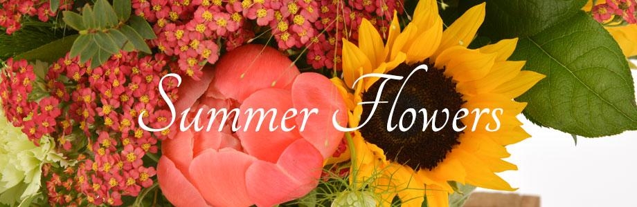 Summer2025
