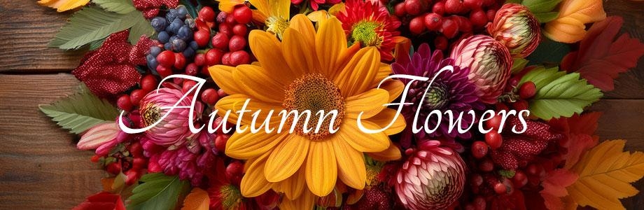 Autumn 2025