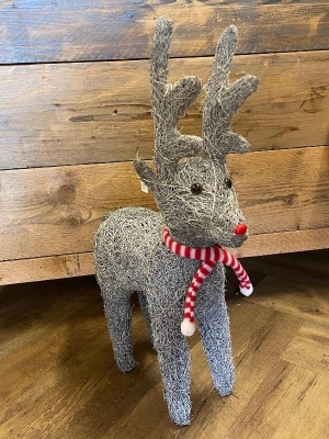 Natural Light Up Reindeer