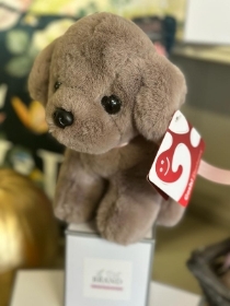 Plush Dog Teddy